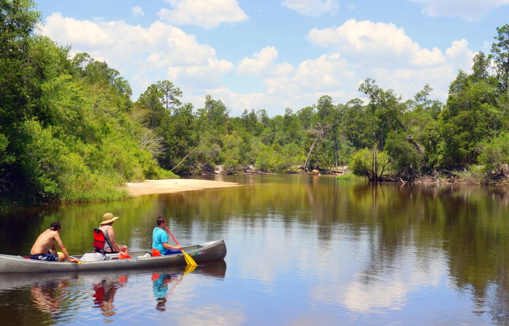 Blackwater River State Park near Regency Inn & Suites
